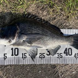 イチノ兄弟、釣果!