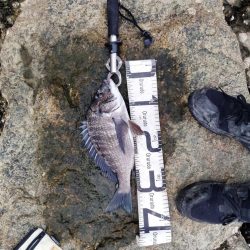 ようやく釣れた。