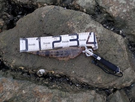 2週連続のフラット！嬉しい限り