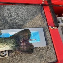 北山田ロクマル