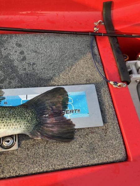 北山田ロクマル