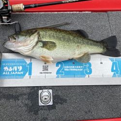 北山田50〜40cm3発