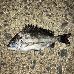 計画休暇初日や