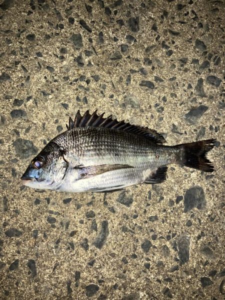 計画休暇初日や