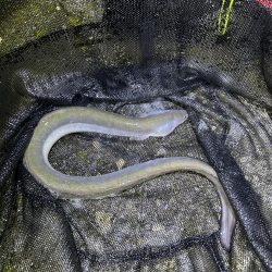 ★★リベンジ大成功★★