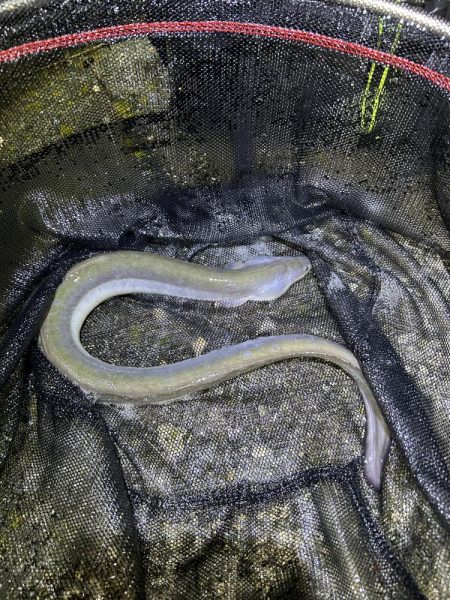 ★★リベンジ大成功★★