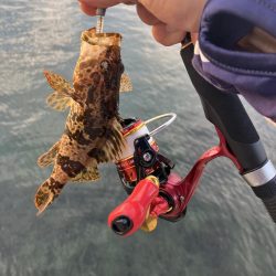 ニューロッド鱗付け