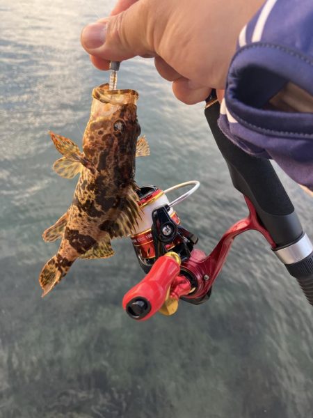 ニューロッド鱗付け