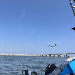 良型アジぼちぼち