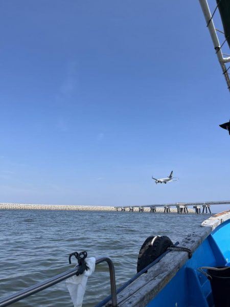 良型アジぼちぼち