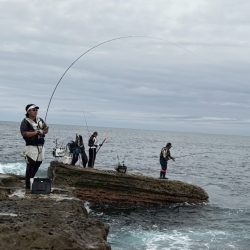 和歌山市江(吉丸渡船)でグレ釣り