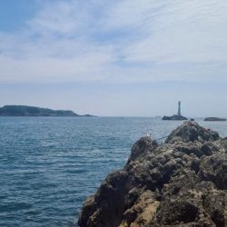 シマノジャパンカップ磯　串本大会