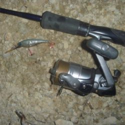 ぽつぽつ雨バス