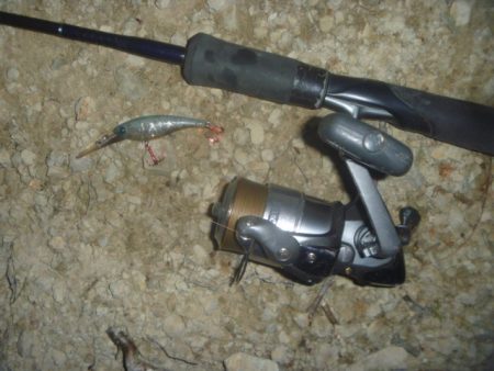 ぽつぽつ雨バス