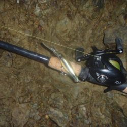 雨上がりバス釣り