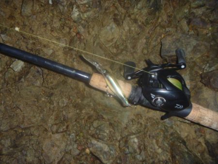 雨上がりバス釣り