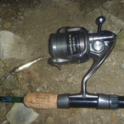 梅雨明け？の淡水魚