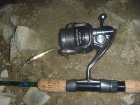 梅雨明け？の淡水魚