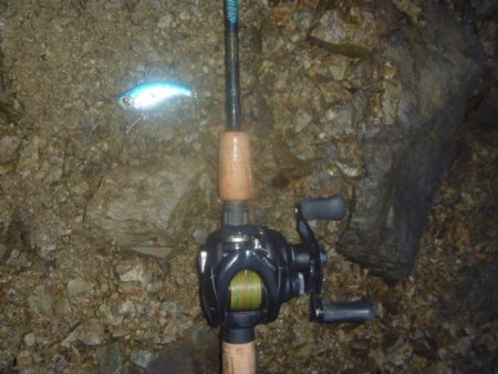 6月雨のバス釣り