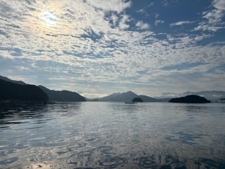 マイクロベイト