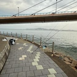 雨上がりのシロギス釣り