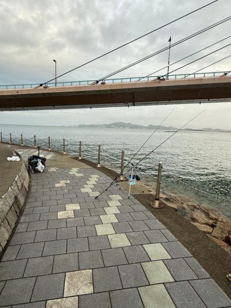 雨上がりのシロギス釣り