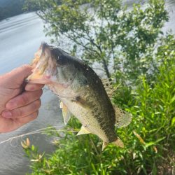 今年初バス⭐︎