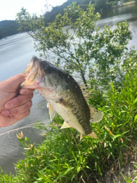 今年初バス⭐︎