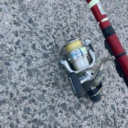 朝マズメのアジ狙いで10匹GET