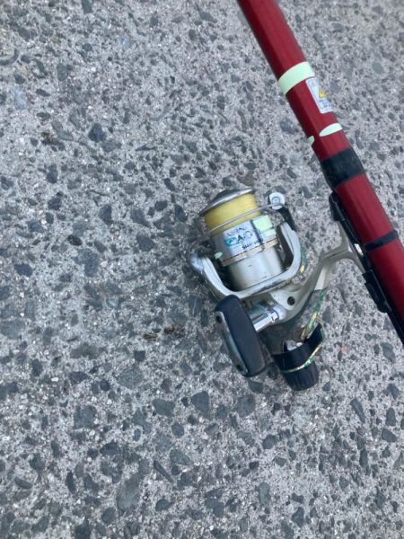 朝マズメのアジ狙いで10匹GET