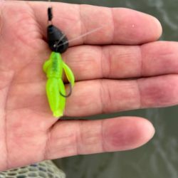 雨も上がったので…