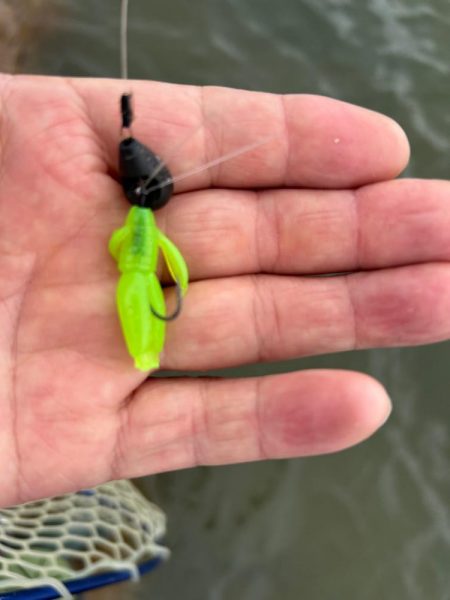 雨も上がったので…