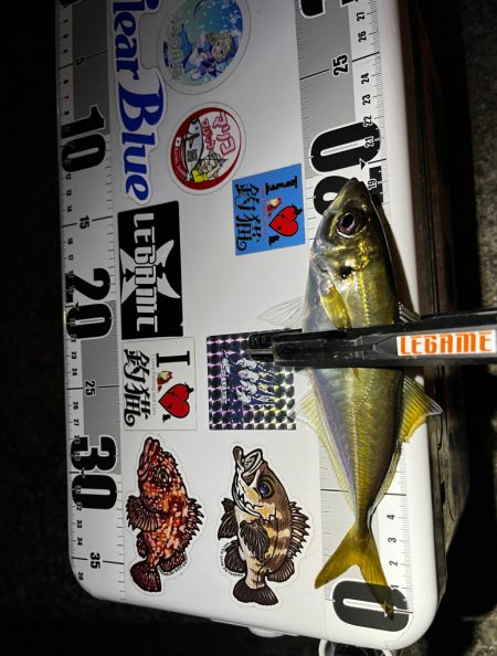 最近の目標は3匹アジング