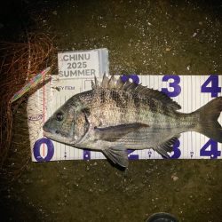 ナイトチニング