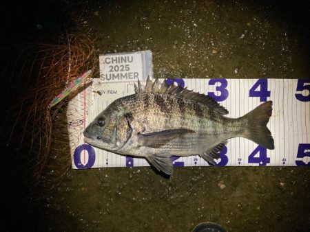 ナイトチニング