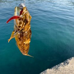 暑い…早々に納竿