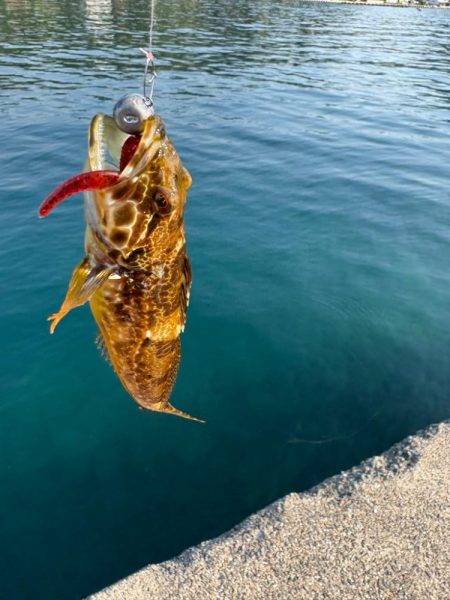 暑い…早々に納竿