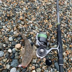 25カルディア入魂