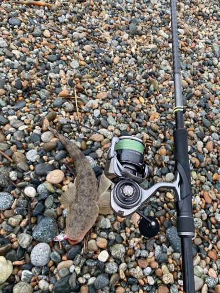 25カルディア入魂