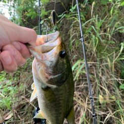 久しぶりの釣行