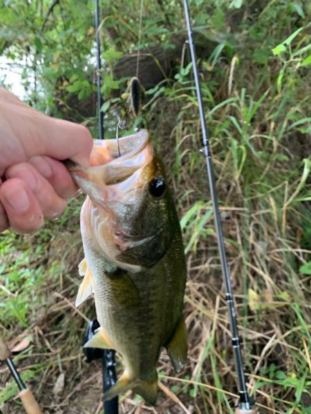 久しぶりの釣行