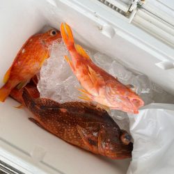 過去一不満な結果。