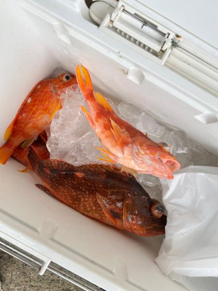 過去一不満な結果。