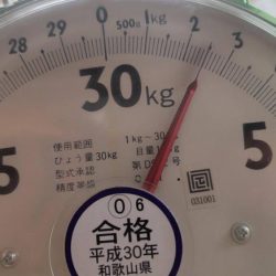 春イカはウキ釣りでしょ