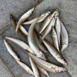 キスちょい投げ