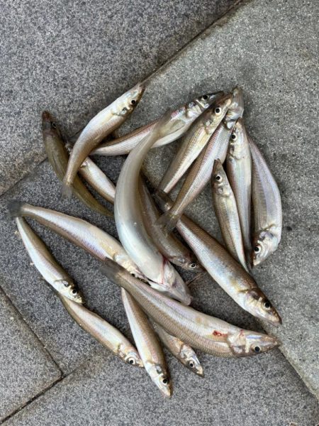 キスちょい投げ