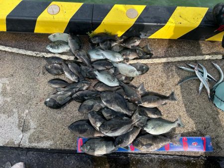 魚津港 フカセ釣り