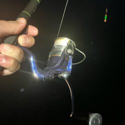 東二見メバル21