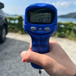 サイトエギング？