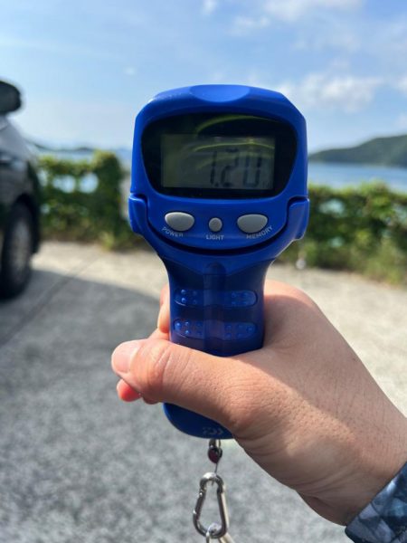 サイトエギング？